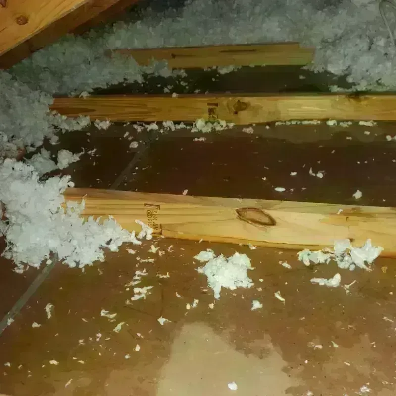 Attic Water Damage in Derby, KS