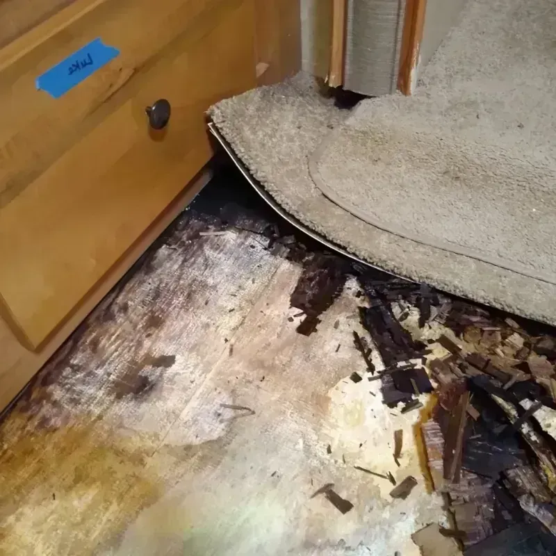 Best Wood Floor Water Damage Service in Derby, KS